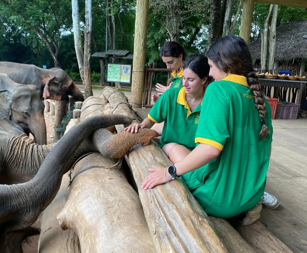 Elephant Orphanage